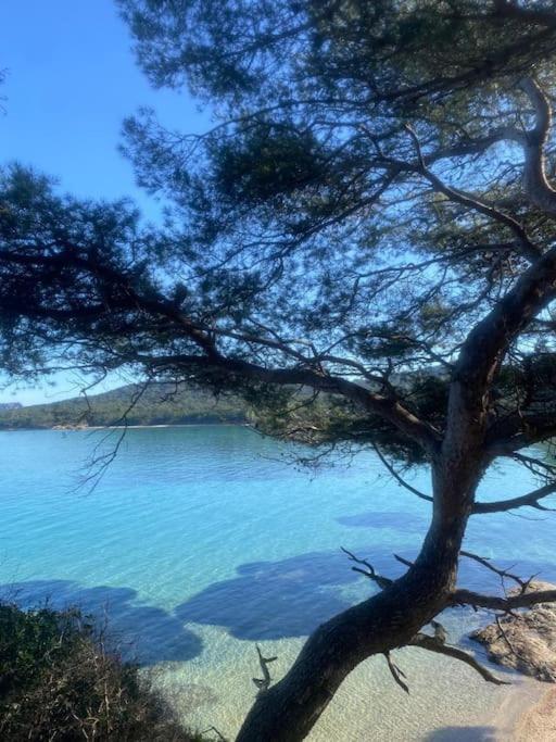 Ile De Porquerolles : T3 Climatise Vue Mer Exteriör bild