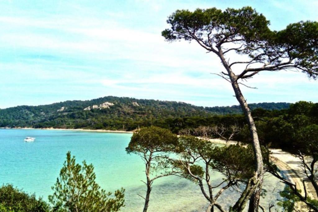 Ile De Porquerolles : T3 Climatise Vue Mer Exteriör bild